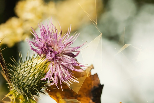 Autumn – Winter is coming